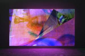 Mark Soo. Cuttings, 2012. Looped digital projection, asynchronous soundtrack, duration variable